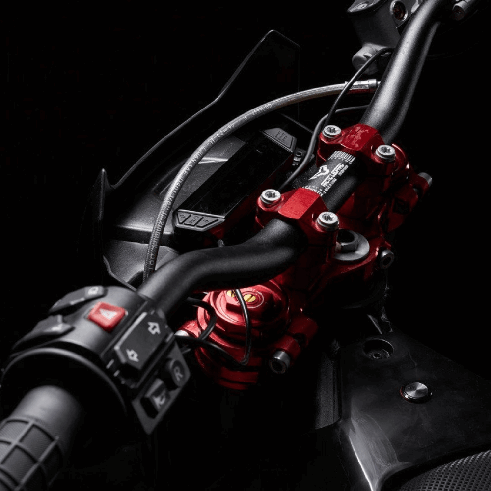 ᐉ Электромотоцикл ARCTIC LEOPARD CHEETAH E-XE 880 (ENDURO