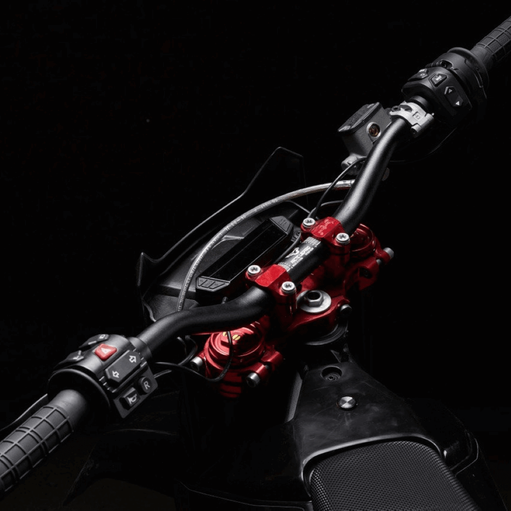 ᐉ Электромотоцикл ARCTIC LEOPARD CHEETAH E-XE 880 (ENDURO