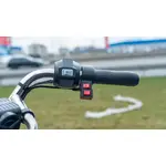 Електротрицикл вантажний FORTE GP-1150-A (сірий) Електротрицикл вантажний FORTE GP-1150-A (сірий)[image_num]