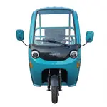 Електротрицикл вантажний FORTE DW-1100 (синій) Електротрицикл вантажний FORTE DW-1100 (синій)[image_num]