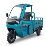 Електротрицикл вантажний FORTE DW-1100 (синій) 