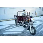 Вантажний мотоцикл Musstang MT250-4V Вантажний мотоцикл Musstang MT250-4V[image_num]