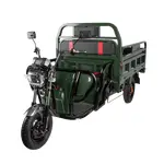 Купить Трицикл электрический грузовой TRIGO JJ1.6 1000W/60V/35AH(DZM) (зеленый)