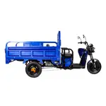 Купить Трицикл электрический грузовой TRIGO JJ1.6 1000W/60V/35AH(DZM) (синий)Трицикл электрический грузовой TRIGO JJ1.6 1000W/60V/35AH(DZM) (синий)[image_num]