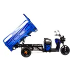 Купить Трицикл электрический грузовой TRIGO JJ1.6 1000W/60V/50AH(DZM) (синий)Трицикл электрический грузовой TRIGO JJ1.6 1000W/60V/50AH(DZM) (синий)[image_num]