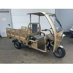 Купить Электротрицикл Renegade ATE-1000WЭлектротрицикл Renegade ATE-1000W[image_num]