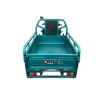 Електротрицикл вантажний DOZER Model 1 (650W) Електротрицикл вантажний DOZER Model 1 (650W)[image_num]