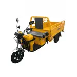 Електротрицикл вантажний DOZER Model 2 (1000W) 
