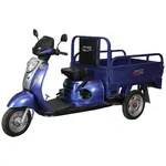 Вантажний мотоцикл Spark SP110TR-4 