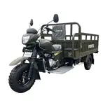 Вантажний мотоцикл FORTE ATV250ZH-T (зелений) 