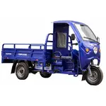 Трицикл електричний вантажний Геркулес T3 Electro C 72/100 (LiFePO4) 