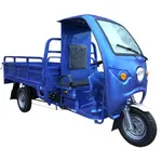 Трицикл електричний вантажний Геркулес T3 Electro C 
