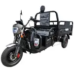 Електротрицикл вантажний FORTE JH-1200 (Чорний) 