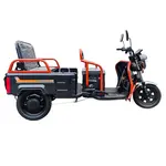 Електротрицикл вантажний FORTE GP-1000-P (чорний) Електротрицикл вантажний FORTE GP-1000-P (чорний)[image_num]