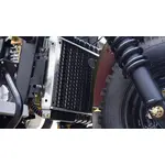 Вантажний мотоцикл FORTE ATV300ZH-T (зелений) Вантажний мотоцикл FORTE ATV300ZH-T (зелений)[image_num]