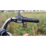 Купить Электротрицикл грузовой FORTE GP-1500-C (серый)Электротрицикл грузовой FORTE GP-1500-C (серый)[image_num]