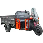 Купить Электротрицикл грузовой FORTE GP-1500-C (серый)