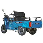 Електротрицикл вантажний Maxxter CARRIER (Blue) 1000 Вт Електротрицикл вантажний Maxxter CARRIER (Blue) 1000 Вт[image_num]