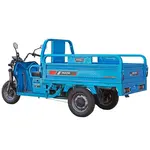 Електротрицикл вантажний Maxxter CARRIER MAX (Blue) 1500 Вт Електротрицикл вантажний Maxxter CARRIER MAX (Blue) 1500 Вт[image_num]