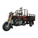 Вантажний мотоцикл Musstang MT250-4V Вантажний мотоцикл Musstang MT250-4V[image_num]