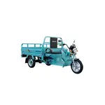 Трицикл електричний вантажний Геркулес WJ160 Electro S 