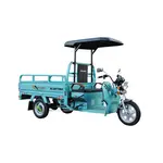 Трицикл електричний вантажний ГЕРКУЛЕС WJ160 Electro R 