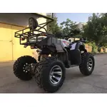 Квадроцикл FORTE Bull 200 Квадроцикл FORTE Bull 200[image_num]