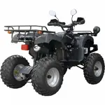 Квадроцикл Spark SP175-1 Квадроцикл Spark SP175-1[image_num]