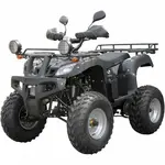 Квадроцикл Spark SP175-1 Квадроцикл Spark SP175-1[image_num]