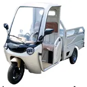 Електротрицикл вантажний FORTE DW-1500 Електротрицикл вантажний FORTE DW-1500[image_num]