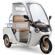 Електротрицикл вантажний FORTE DW-1500 