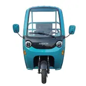 Електротрицикл вантажний FORTE DW-1100 (синій) Електротрицикл вантажний FORTE DW-1100 (синій)[image_num]