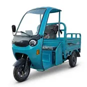 Електротрицикл вантажний FORTE DW-1100 (синій) 