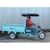 Трицикл електричний вантажний ГЕРКУЛЕС WJ160 Electro R Трицикл електричний вантажний ГЕРКУЛЕС WJ160 Electro R[image_num]