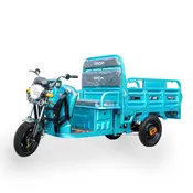 Електротрицикл вантажний FADA ПОНИ 800W 