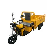 Електротрицикл вантажний DOZER Model 2 (1000W) 