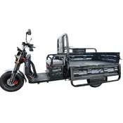 Електротрицикл вантажний FORTE JH-1200 (Чорний) Електротрицикл вантажний FORTE JH-1200 (Чорний)[image_num]