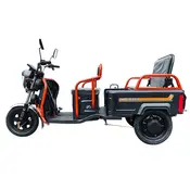 Електротрицикл вантажний FORTE GP-1000-P (чорний) 