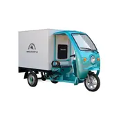Трицикл електричний вантажний ГЕРКУЛЕС WJ160 Electro CB 