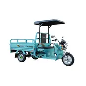 Трицикл електричний вантажний ГЕРКУЛЕС WJ160 Electro R 
