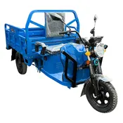 Електротрицикл вантажний DOZER Model 2E (1000W) 