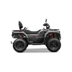 Квадроцикл CFMOTO GOES TERROX 550L Base (чорний) 