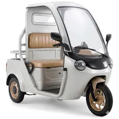 Електротрицикл вантажний FORTE DW-1500 