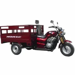 Вантажний мотоцикл Зубр-Horse HT-200 