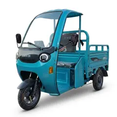 Електротрицикл вантажний FORTE DW-1100 (синій) 