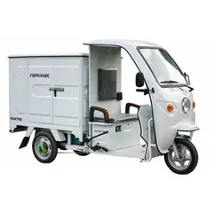 Трицикл електричний вантажний Геркулес WJ160 Delivery 