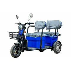 Трицикл електричний пасажирський Геркулес LT650 