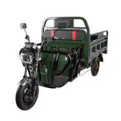 Трицикл електричний вантажний TRIGO JJ1.6 1000W/60V/35AH(DZM) (зелений) 