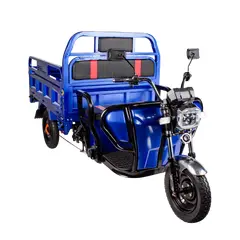 Трицикл електричний вантажний TRIGO JJ1.6 1000W/60V/35AH(DZM) (синій) 