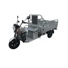 Електротрицикл вантажний DOZER Model 3 (1200W) 